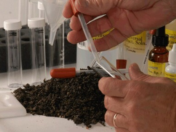 Soil Test