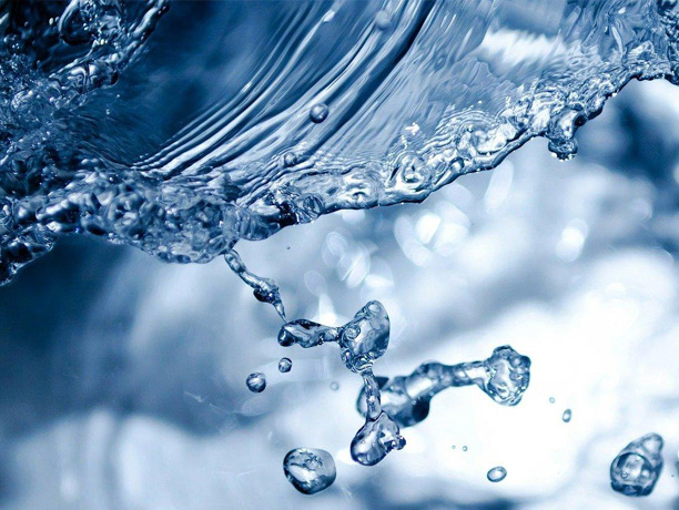 STP Water Parameters